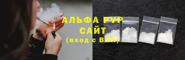 стафф Арсеньев