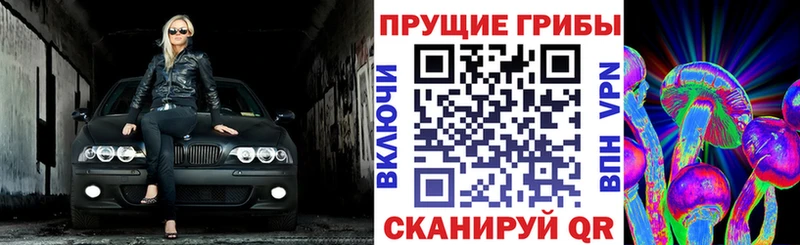 Купить где  Киржач  Галлюциногенные грибы Cubensis 